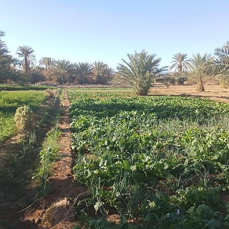 Riad Soleil Du Monde Zagora Ngoại thất bức ảnh